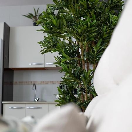 말라가 Trinidad Aparment 아파트 외부 사진