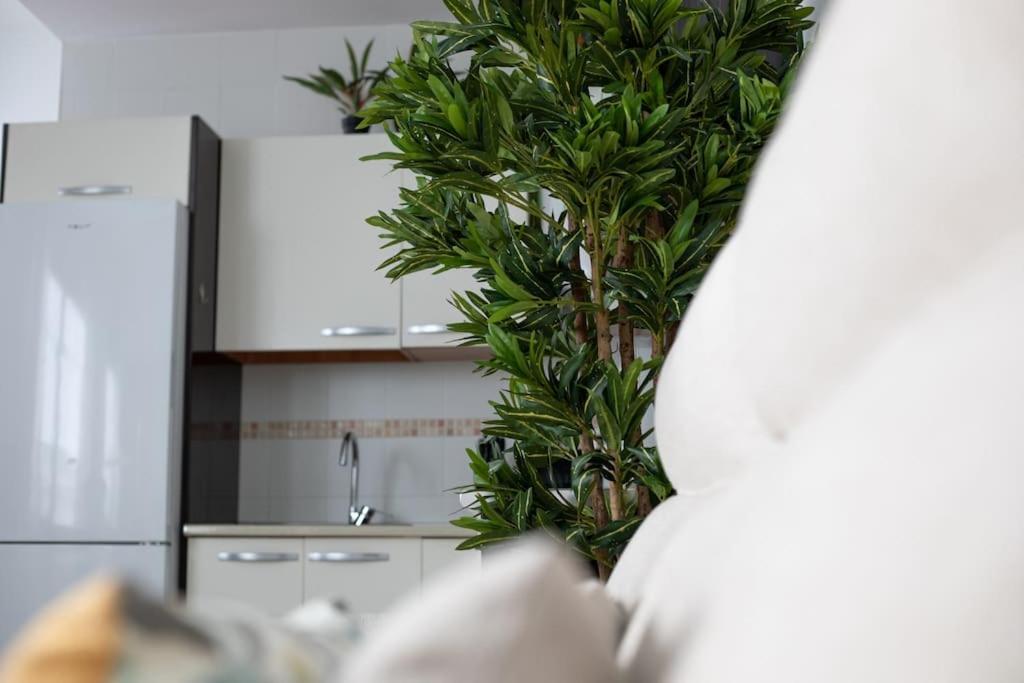 말라가 Trinidad Aparment 아파트 외부 사진